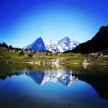 SwissHut Stunning Views Alps Lake - Chalet Monbijou * Sigriswil