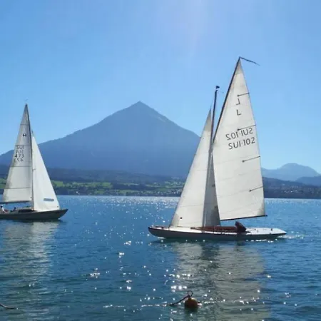 木屋 Lake Thun Alps Scenic Views And Concierge By Swisshut 斯格里维尔