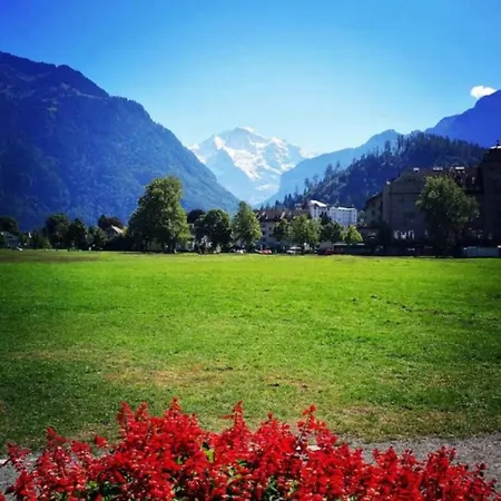 SwissHut Stunning Views Alps Lake - Chalet Monbijou Chalet