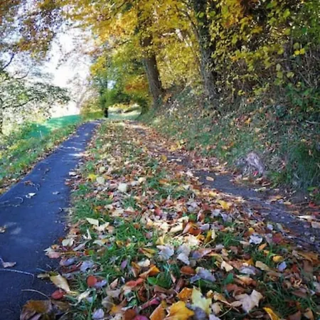 SwissHut Stunning Views Alps Lake - Chalet Monbijou