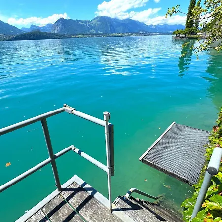 Lake Thun Alps Scenic Views And Concierge By Swisshut 斯格里维尔