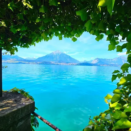 SwissHut Stunning Views Alps Lake - Chalet Monbijou