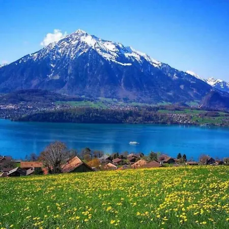 Swisshut Stunning Views Alps - Monbijou Sigriswil